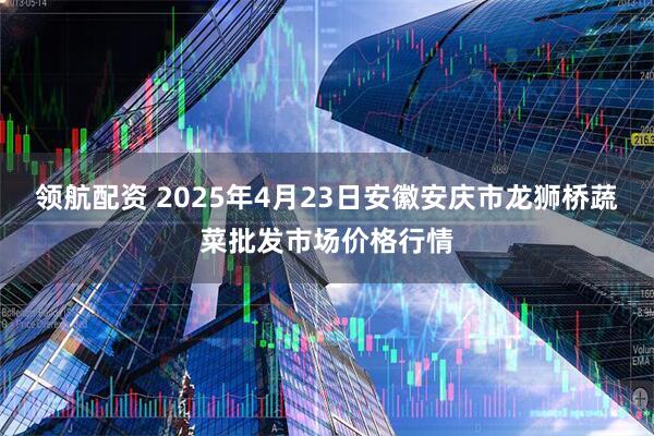 领航配资 2025年4月23日安徽安庆市龙狮桥蔬菜批发市场价格行情
