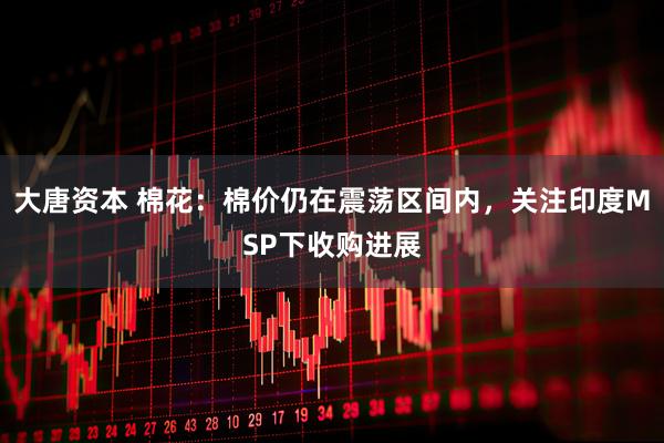 大唐资本 棉花：棉价仍在震荡区间内，关注印度MSP下收购进展