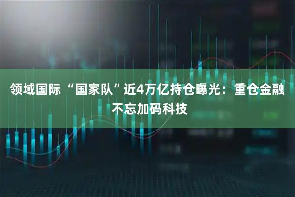 领域国际 “国家队”近4万亿持仓曝光：重仓金融 不忘加码科技