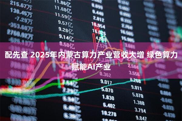 配先查 2025年内蒙古算力产业营收大增 绿色算力赋能AI产业